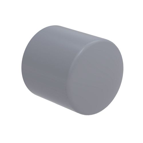 CAP CPVC 1